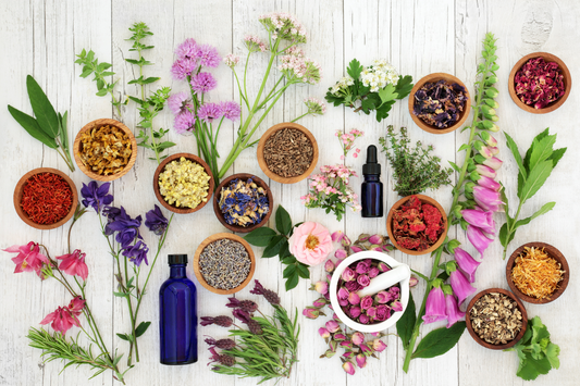 50 Powerful Herbal Remedies for Health and Wellness